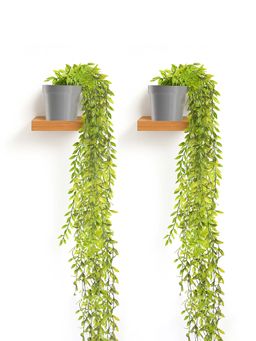 Kuber Industries - Grey Plastic Artificial Vine Plants with Pots (Pack of 2)
