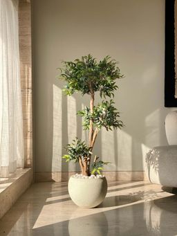 Mason Home - Green Artificial Ruscus Lush Plant without Pot (4 Feet)