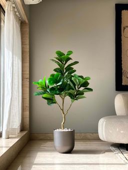 Mason Home - Green Artificial Serene Fiddle Plant without Pot (4 Feet)