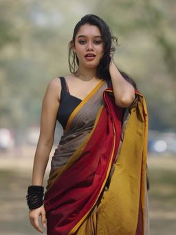 Aparna - Multicolour Premium Mol Cotton Saree Without Blouse for Women
