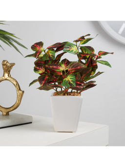 HomeTown - Ilana Faux Coleus Ceramic Potted Plant 19 Cm in Green Colour