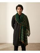 Green color option, Currently selected