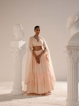 Preevin - Blush Pink Ambi Lehenga and Blouse with Embroidered Dupatta