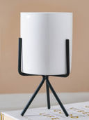 White color option, Sold out