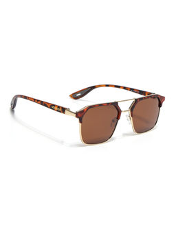 Voyage - Unisex Wayfarer Polarized Sunglasses Brown Lens with Brown & Golden Frame (PMG6682) (58)