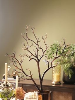 Pure Home + Living - Brown Dry Stem