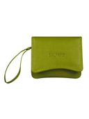 Green color option, Currently selected