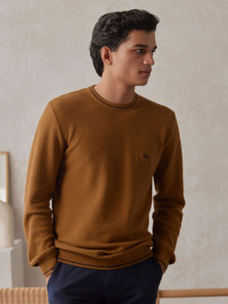 Andamen - Honeycomb Brown Mens Full Sleeve Pullover Regular Fit