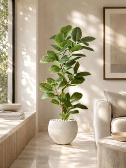 Mason Home - Artificial Leafy Rubber Plant - (Without Pot)