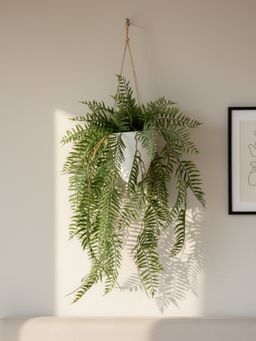 Mason Home - Artificial Hanging Fern (Pack of 2)