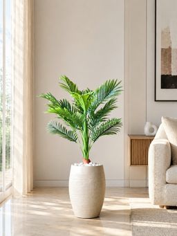Mason Home - Artificial Urban Areca Palm - (Without Pot)