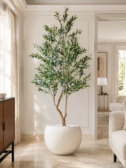 Mason Home - Artificial Olive Serene Plant - (Without Pot)