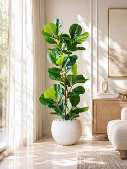 Mason Home - Artificial Fiddle Lyrate Plant -(Without Pot)