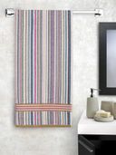 Multi-Color color option, Currently selected