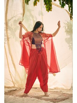 Neelu Sethi - Embroidered Blouse And Salwar with Organza Cape (Set of 3)