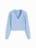 Blue color option, Currently selected