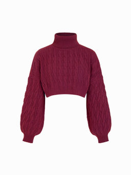 Cider - Cable Knit Turtleneck Solid Long Sleeve Crop Top