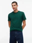 Green color option, Currently selected