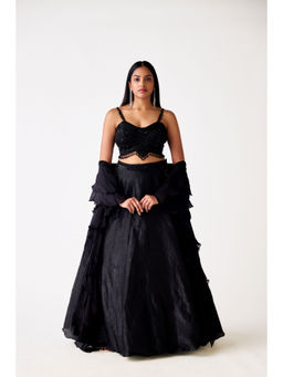 Basanti Kapde aur Koffee - Black Organza Embroidered Blouse with Lehenga and Dupatta (Set of 3)