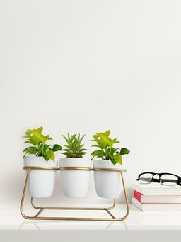 Ecofynd - Bella White Metal Pot With Stand