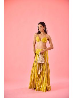 Old Marigold - Yellow Embroidered Plunging Neck Blouse with Sharara