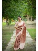 Brown color option, Currently selected
