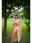 Peach color option, Currently selected