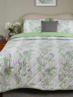 Maspar - Purple Cotton Bedding Quilt, Bedsheet, Pillow & Cushion Covers (King)