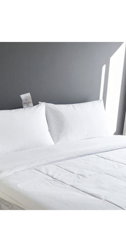 SHRNM - White Luxe High-Firm Duck Down Pillow