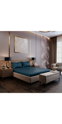 Teal color option, Currently selected