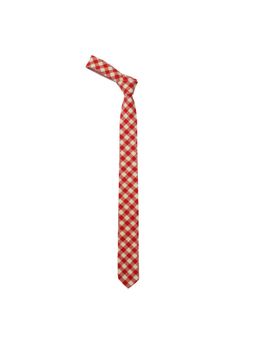 The Tie Hub - Men Red Cotton Checks Neck Tie