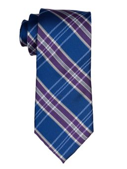 The Tie Hub - Men Blue Silk Checks Neck Tie
