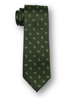 The Tie Hub - Men Green Silk Paisley Neck Tie