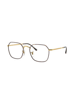 Ray-Ban - Unisex Irregular Frames - 0RX3694V317751 (51)