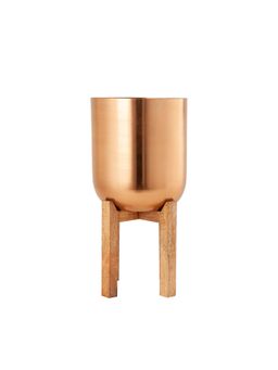 Kaniry Artise of Novelty - Planter with Wooden Stand