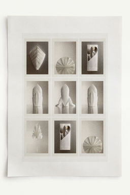 H&M - 2-Pack Damask Napkins