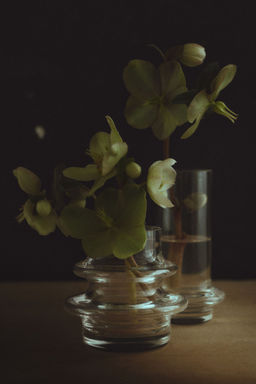 H&M - 2-Pack Mini Glass Vases