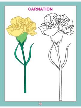 No Colour Images Of Flowers Without Colour | Best Flower Site