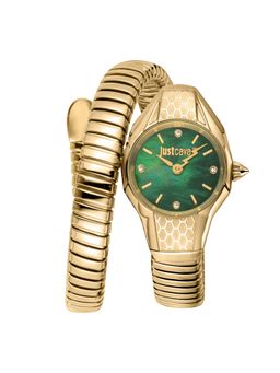 Just Cavalli - Women Vivace Green Dial Analog Watch - JC1L375M0035 (M)