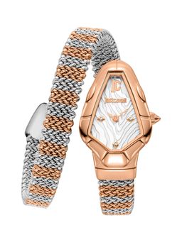 Just Cavalli - Women Fiamma Silver Dial Analog Watch - JC1L426M0065 (M)
