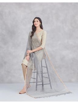 Fabindia - Grey Silk Blend Zari Dupatta