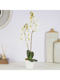 HomeTown - Ilana Artificial Orchid Potted Plant 60 cm In White Colour