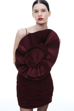 H&M - Women Red Rose-Appliqued Gathered Dress