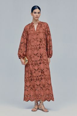 H&M - Women Brown Broderie Anglaise Dress