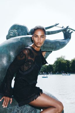 H&M - Women Black Embroidered Mesh Dress