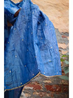 Babhru - Neel Bhagh Embellished & Sequined Dupatta