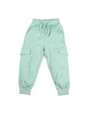 Green color option, Currently selected