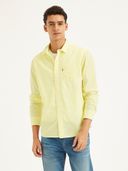 Yellow color option, Sold out, Currently selected