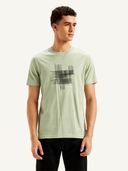 Green color option, Currently selected