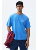 Blue color option, Currently selected